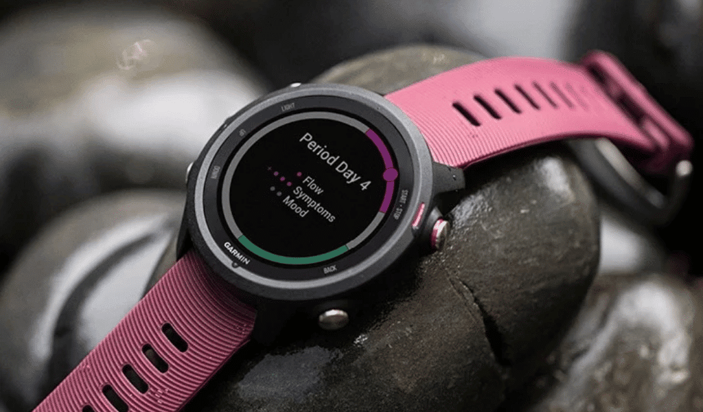 garmin forerunner 275